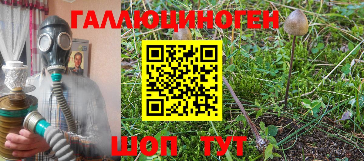 Серпухов  Галлюциногенные грибы мицелий  Вход с VPN 